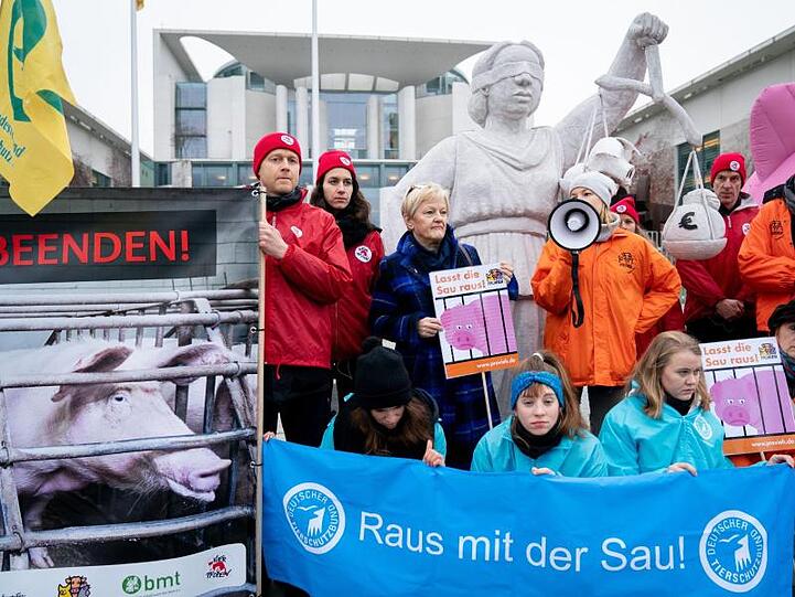 Renate Künast, Bundestagsabgeordnete von Bündnis90/Die Grünen, nimmt an einer Demonstration von Tierschützern am Rande des "Agrargipfels" vor dem Bundeskanzleramt teil.
