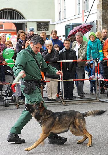 Beim Tag der offenen Tür des Polizeipräsidiums München konnten die Besucher einen spannenden Blick hinter die Kulissen werfen.