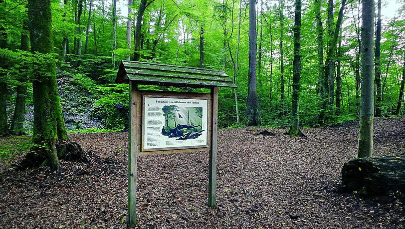 In der Wolfsschlucht gibt es einen Waldlehrpfad.