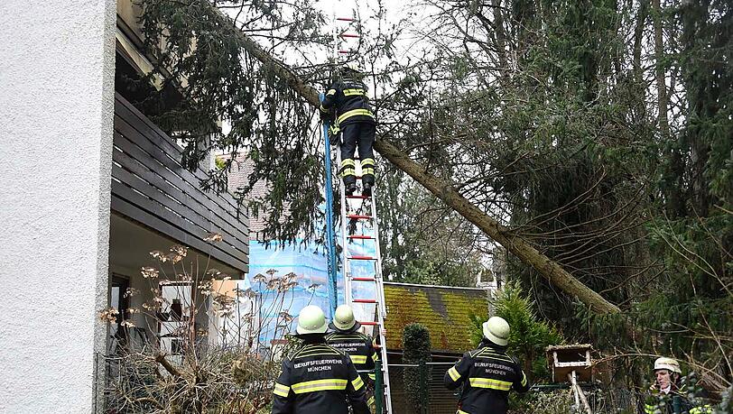 Der Baum stürzte auf das Haus, die Feuerwehr musste ausrücken.