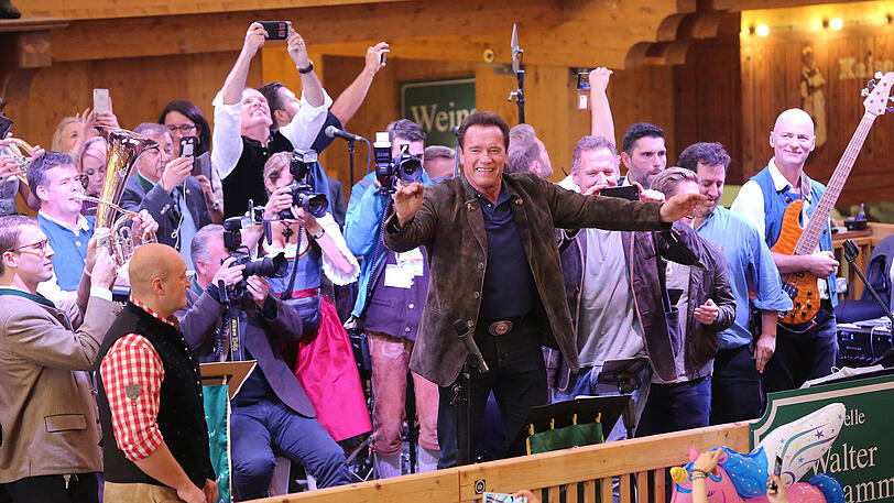 Erst eine kühle Maß, danach Dirigieren auf der Bühne: Die Bilder vom Schwarzenegger-Besuch im Schützen-Festzelt.