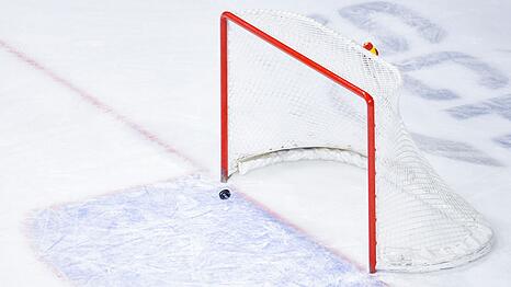 Adler Mannheim - Nürnberg Ice Tigers, Meisterschaftsrunde in der SAP-Arena.