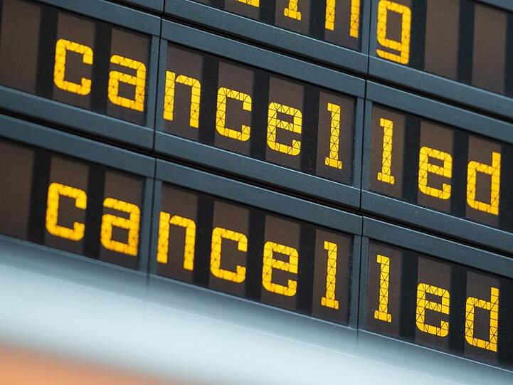 Eine dänische Regional-Airline soll einem Hund Entschädigung zahlen - wegen eines ausgefallenen Kurzstreckenflugs.