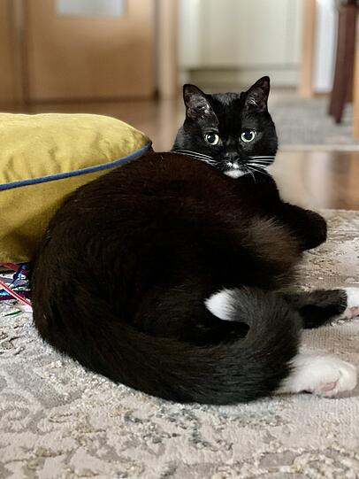 Tammy