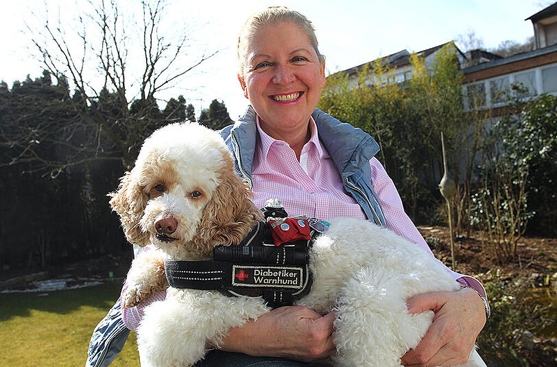 Annegret Pross hält ihren Pudel Rocket in Margetshöchheim auf dem Schoß. Rocket ist ein ausgebildeter Diabetiker-Warnhund, der bei seinem Frauchen Unterzucker durch Schnuppern feststellt.