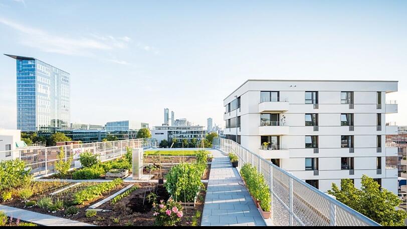 Bisher baut die Wogeno urban &ndash; wie mit diesem Dachgarten am Domagpark.