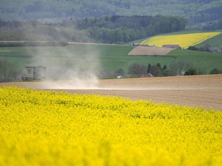 Für die Ernte dieses Jahres kommt es auf das Wetter in den nächsten zwei, drei Wochen an.