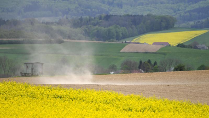 Für die Ernte dieses Jahres kommt es auf das Wetter in den nächsten zwei, drei Wochen an. Für die Ernte dieses Jahres kommt es auf das Wetter in den nächsten zwei, drei Wochen an.