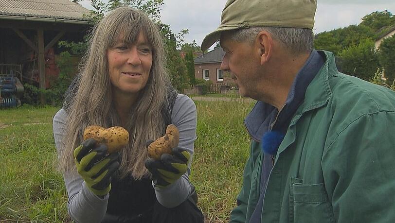 Katja und Johann ernten bei "Bauer sucht Frau" herzige Kartoffeln.
