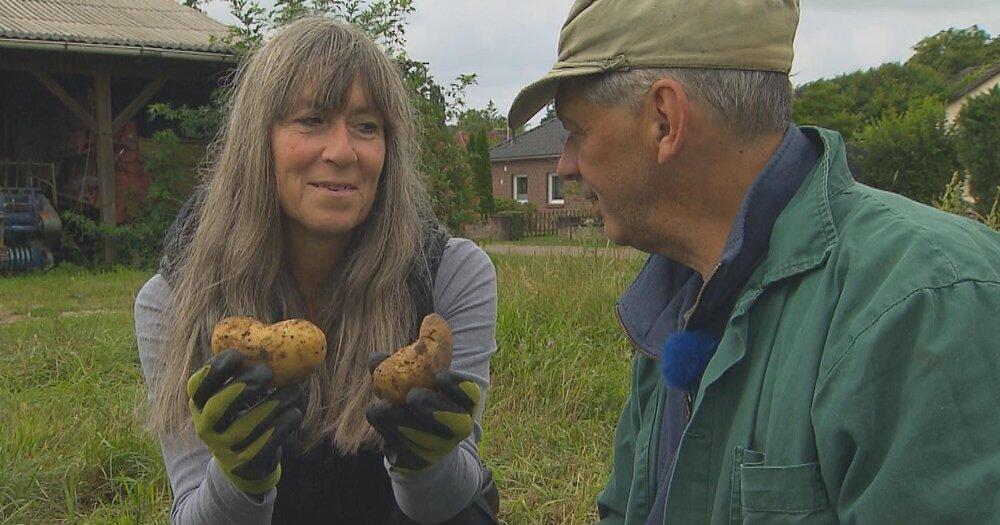 Gretchenfragen-bei-Bauer-sucht-Frau-Wie-h-ltst-du-es-mit-Landleben-