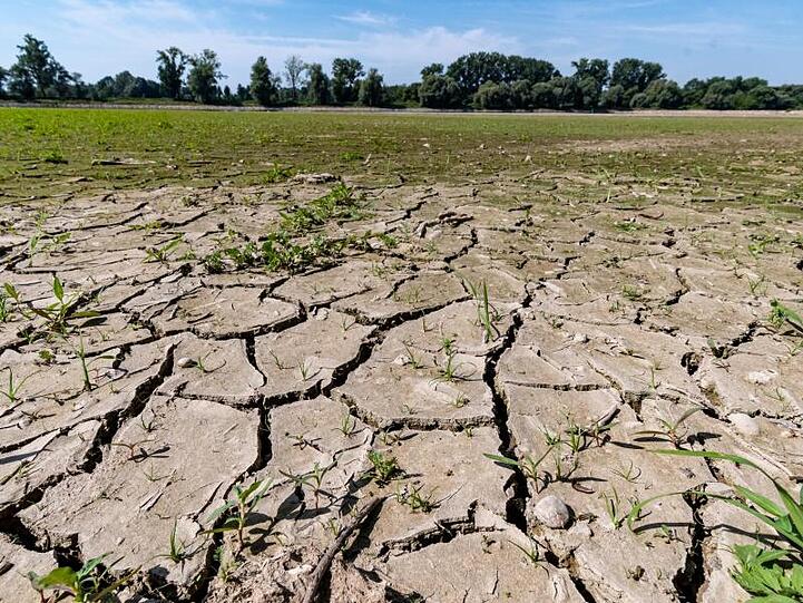 Bundesweit gab es im vergangenen Jahr 52 Sommertage. Außerdem 17 heiße Tage, an denen die Temperaturen bei 30 Grad und mehr lagen.