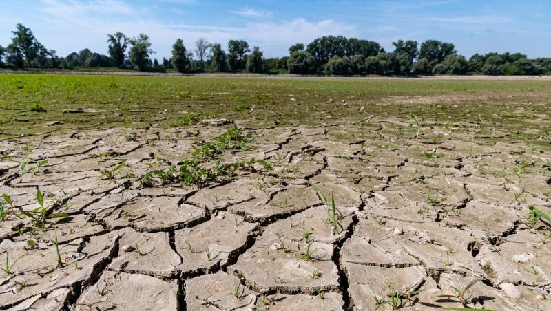 Bundesweit gab es im vergangenen Jahr 52 Sommertage. Außerdem 17 heiße Tage, an denen die Temperaturen bei 30 Grad und mehr lagen.