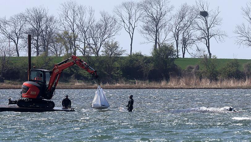 Das neue Konzept der Privatinitiative wird geduldet.