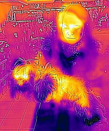 Eine Aufnahme aus der Wärmebild-Kamera: Umso heller die Farben auf dem Foto sind, desto mehr Energie wird abgegeben.