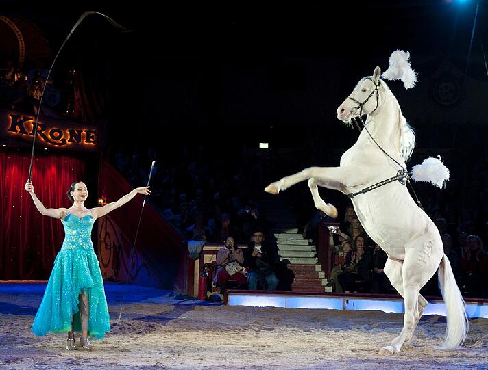 Die Premiere des neuen Winterprogramms im Circus Krone: Die Bilder