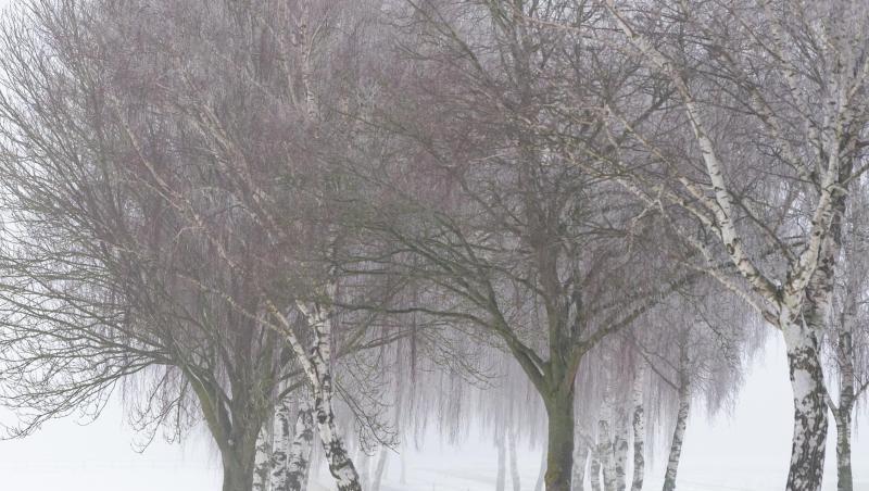 Besonders betroffen sein soll den Meteorologen zufolge die Region von Emsland und Münsterland bis hin zum Harz.