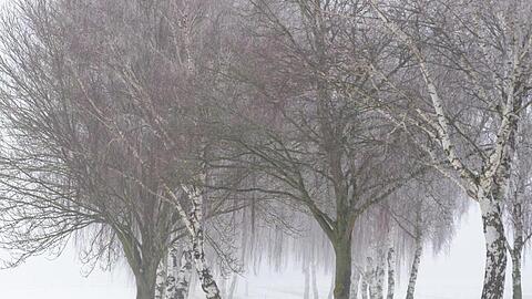 Besonders betroffen sein soll den Meteorologen zufolge die Region von Emsland und Münsterland bis hin zum Harz.