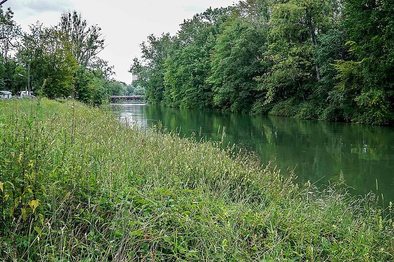 In Thalkirchen findet man schnell sehr viel Grün. Die AZ nimmt sie mit durchs Viertel.