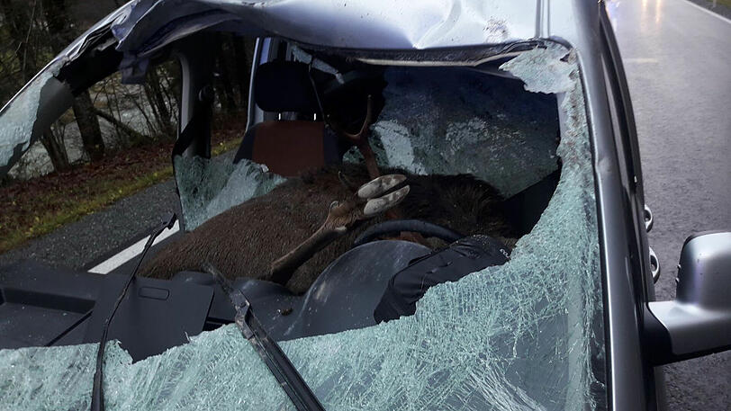 Fahrer und Beifahrer wurden schwer verletzt.