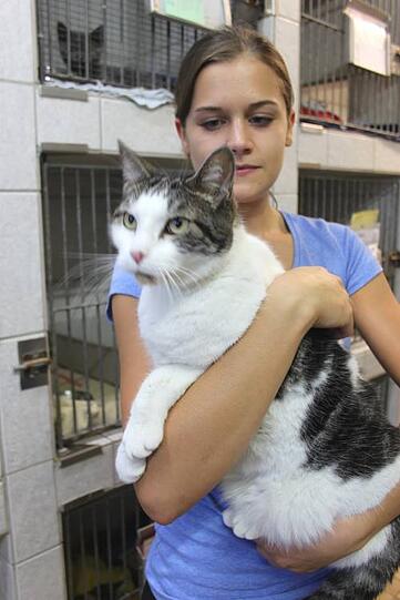 Ein echter Brummer: Wer kennt Kater Gordis?