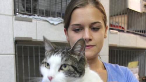 Ein echter Brummer: Wer kennt Kater Gordis? Ein echter Brummer: Wer kennt Kater Gordis?