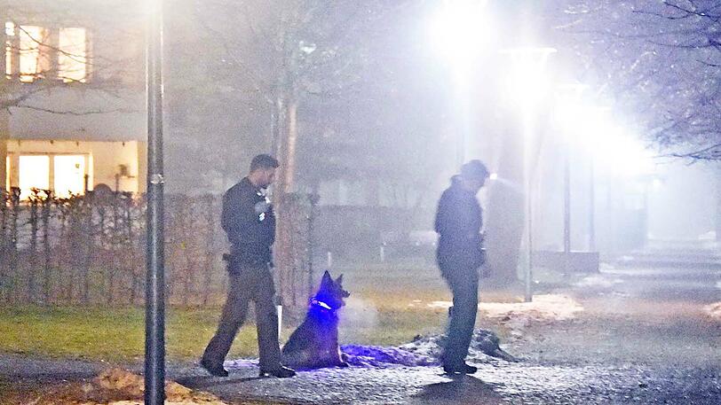 Im Einsatz war auch Polizeihund "Carry"- er durchsuchte das Auto auf Drogen.
