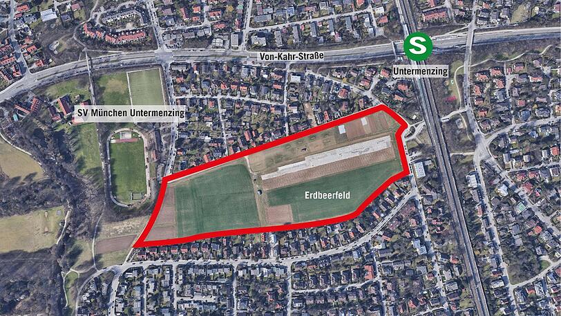 Die sogenannte Erdbeerwiese an der Bauseweinallee/Weinschenkstraße und angrenzende kleine Felder, auf denen ab Frühjahr Blumen und Raps angebaut werden.