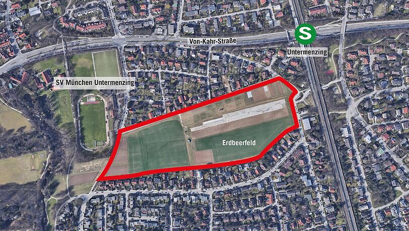 Die sogenannte Erdbeerwiese an der Bauseweinallee/Weinschenkstraße und angrenzende kleine Felder, auf denen ab Frühjahr Blumen und Raps angebaut werden. Die sogenannte Erdbeerwiese an der Bauseweinallee/Weinschenkstraße und angrenzende kleine Felder, auf denen ab Frühjahr Blumen und Raps angebaut werden.