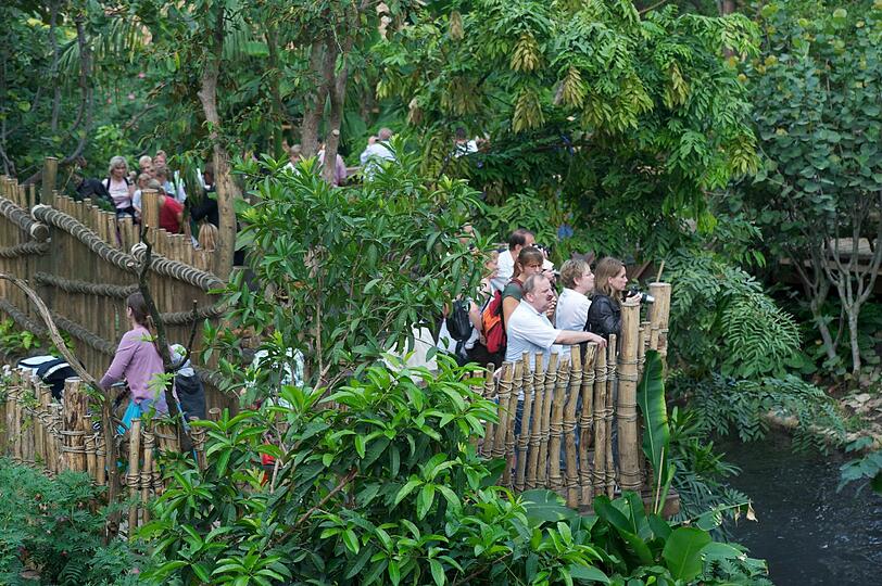 Blick in die Riesentropenhalle Gondwanaland im Zoo Leipzig. Leipzig hat mit der nach dem Urkontinent Gondwana benannten Halle den tropischen Urwald mitten in der Stadt. Das Gondwanaland bevölkern 300 Tiere aus 40 Arten und 17.000 tropische Pflanzen