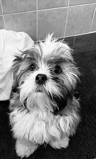 Gismo: Das kann man nicht in Worte fassen. Muss man kennenlernen. Er überrascht einen immer aufs Neue.