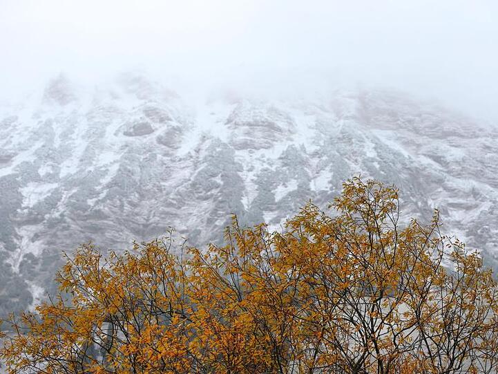 Ein herbstlich gefärbter Baum steht vor schneebedeckten Bergen. Foto: Karl-Josef Hildenbrand/dpa/Archivbild