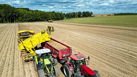 Die Kartoffelbauern haben in diesem Jahr eine sehr gute Ernte eingefahren - es sind sogar zu viele Kartoffeln, die Preise sind relativ schlecht. (Archivfoto)