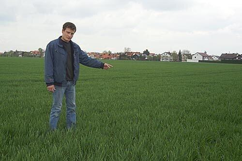 Landwirt Ludwig Häuser auf seinem Rapsfeld: Zwei Drittel seiner Ernte werden für Biosprit verwendet. Ohne Subventionen kann der Betrieb dennoch nicht überleben.