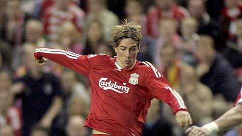 Liverpools Superstar: Der spanische Europameister Fernando Torres.