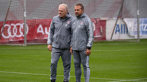 Bald wieder Seite an Seite? Hansi Flick (rechts) und Hermann Gerland, sein Co-Trainer beim FC Bayern. (Archivbild)
