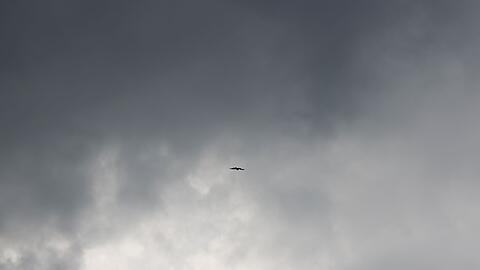Der S&uuml;dosten Brasiliens wurde vom Windsturm stark betroffen. (Symbolbild)
