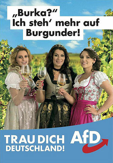 Die Wahlplakate der AfD für den Bundestagswahlkampf 2017.