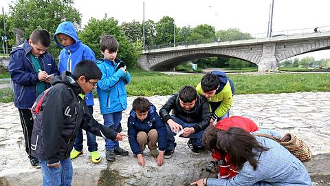 Ein Quadratmeter Isarstrand: Die Münchner Schüler zählen den Müll auf diesem Abschnitt. Allein 63 Kippen liegen hier.