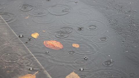 Insbesondere im Norden kam viel Regen herunter. (Archivbild)