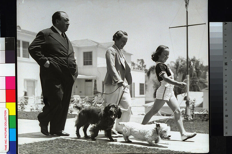 In Beverly Hills: Alfred mit Alma Hitchcock und Tochter Patricia bei Morgenspaziergang mit den Hunden Edward IX und Mr. Jenkins um 1940 nahe ihres Hauses in Wilshire Palms.