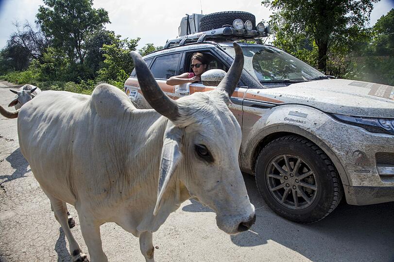"Es stand irgendwo immer eine Kuh auf der Straße": Jessica Schwarz auf der "Land Rover Experience Tour" durch Indien.