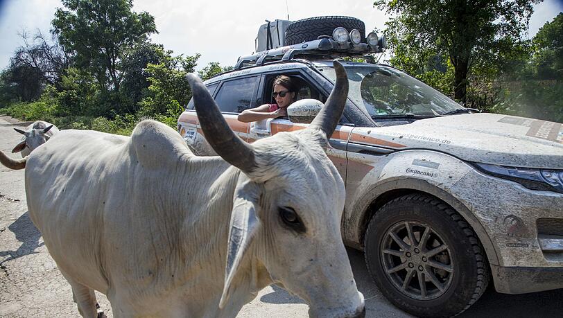 "Es stand irgendwo immer eine Kuh auf der Straße": Jessica Schwarz auf der "Land Rover Experience Tour" durch Indien. "Es stand irgendwo immer eine Kuh auf der Straße": Jessica Schwarz auf der "Land Rover Experience Tour" durch Indien.