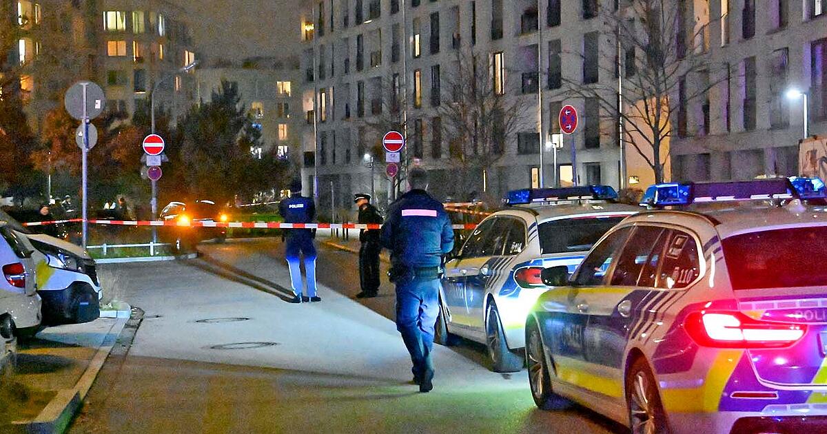 Polizei-schie-t-bei-Einsatz-im-M-nchner-S-den-Wie-viele-Sch-sse-sind-gefallen-