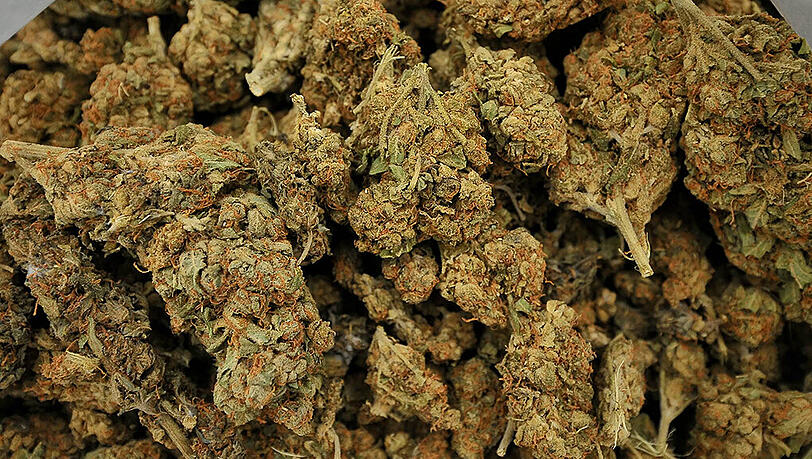 30 Gramm Marihuana lagen in dem Volvo aus Italien 30 Gramm Marihuana lagen in dem Volvo aus Italien