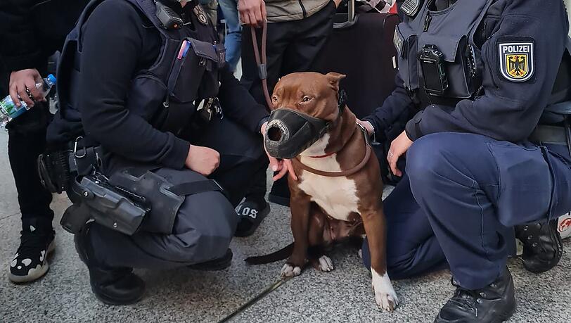 Beamtinnen der Bundespolizei mit dem Kriegsflüchtling und Kampfhund.