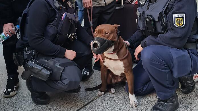 Beamtinnen der Bundespolizei mit dem Kriegsflüchtling und Kampfhund.