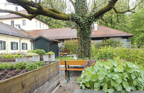 Eine Idylle! Im Baum wohnt ein Specht-Pärchen und passt auf die vielen Kräuter auf.