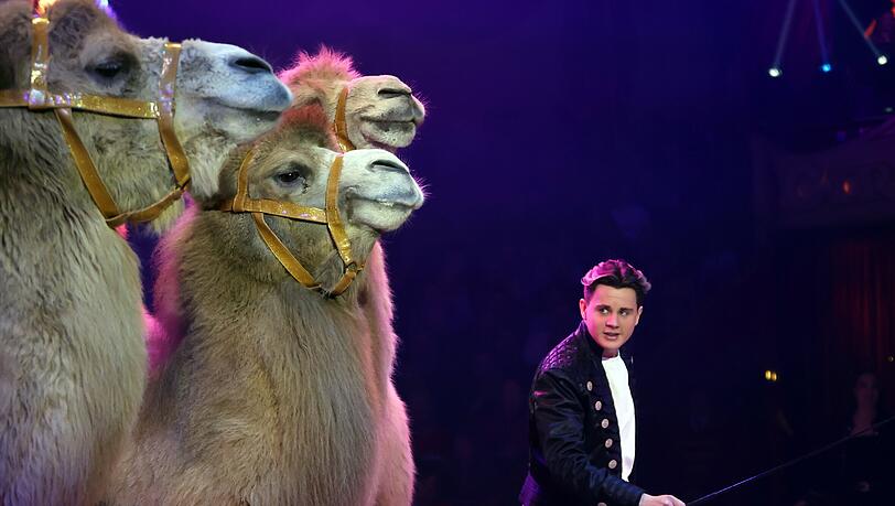 Alexis Lacey-Krone, Sohn von Martin Lacey und Jana Mandana Lacey-Krone, pr&auml;sentiert erstmals wei&szlig;e Kamele in der Manege.