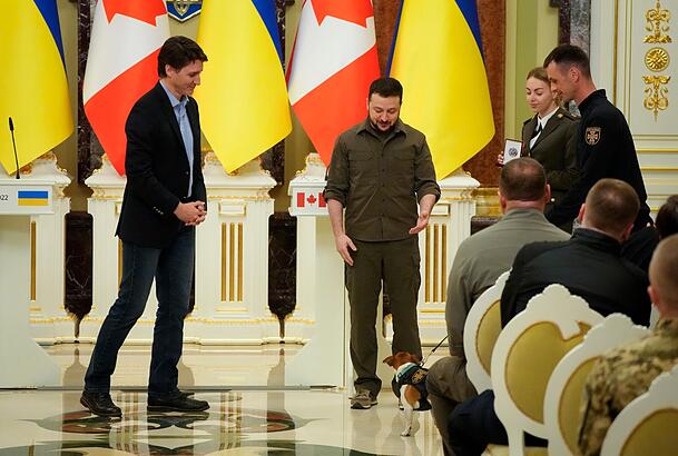 Ukraines Präsident Wolodymyr Selenskyj (M) und der kanadischer Premier Justin Trudeau (l) nehmen an einer Preisverleihung für einen Minensuchhund teil. Ukraines Präsident Wolodymyr Selenskyj (M) und der kanadischer Premier Justin Trudeau (l) nehmen an einer Preisverleihung für einen Minensuchhund teil.