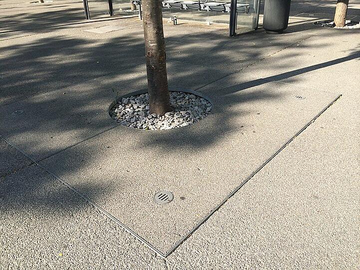 Auch der neue Boden wird wegen der Bäume wasserdurchlässig sein, gibt das Baureferat Auskunft.